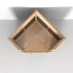 SAUNA EVOLUTION®  Custom Indoor Spa Dry Sauna For Slimming Far Infrared 15